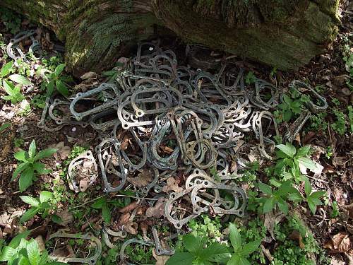 Plenty of finds from a new site on a British Airfield.