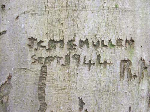 A US Army camp in England that still lives ! (Two World Wars of GI tree graffiti)