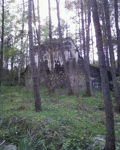 1944-45 battlefield relics.