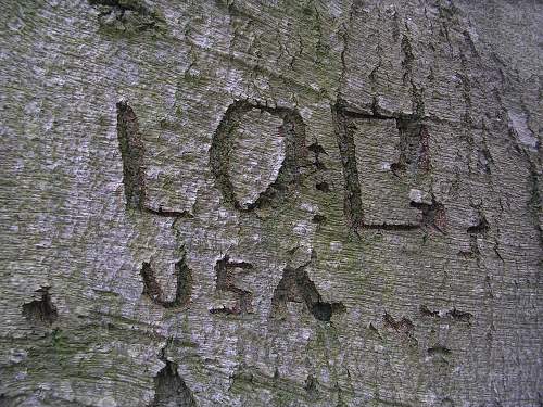 A US Army camp in England that still lives ! (Two World Wars of GI tree graffiti)