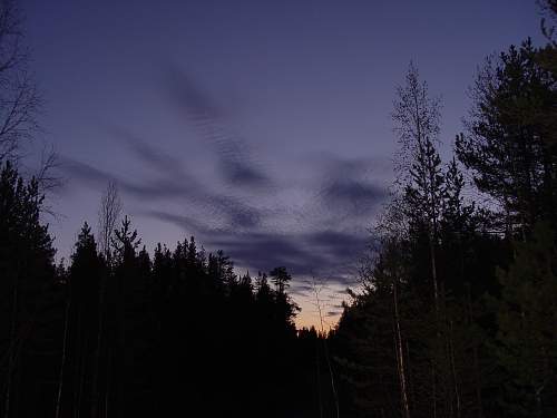 Battlefields in North Karelia( SS-Nord Division)