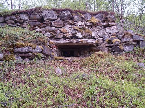 Battlefields in North Karelia( SS-Nord Division)