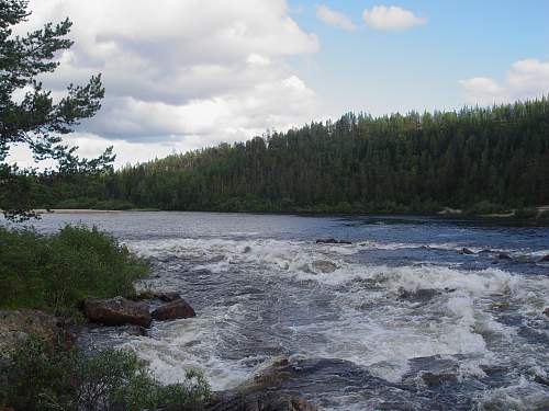 Battlefields in North Karelia( SS-Nord Division)