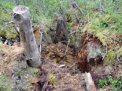 Battlefields in North Karelia( SS-Nord Division)