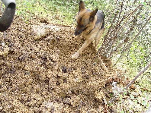 Battlefields in North Karelia( SS-Nord Division)