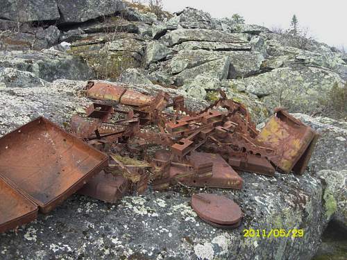 Battlefields in North Karelia( SS-Nord Division)