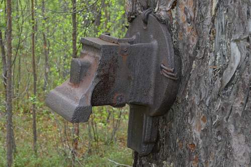 Battlefields in North Karelia( SS-Nord Division)