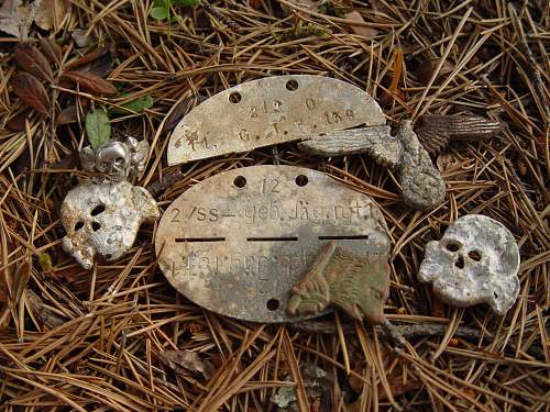 Battlefields in North Karelia( SS-Nord Division)