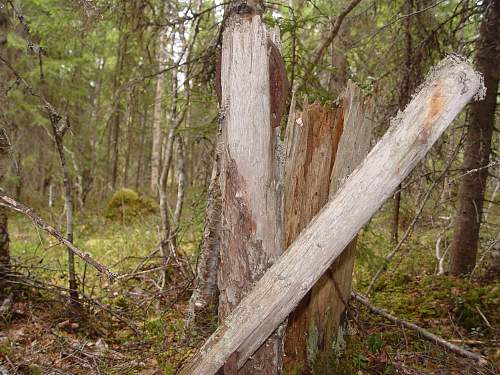 Battlefields in North Karelia( SS-Nord Division)