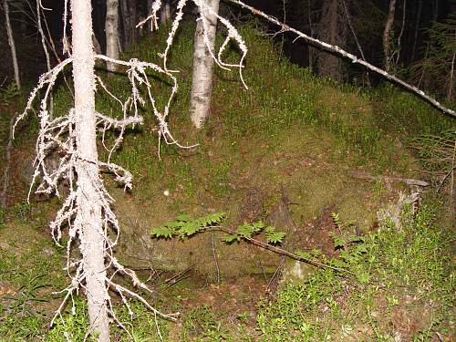 Battlefields in North Karelia( SS-Nord Division)