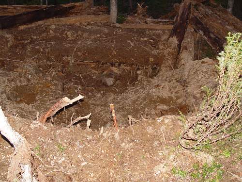 Battlefields in North Karelia( SS-Nord Division)