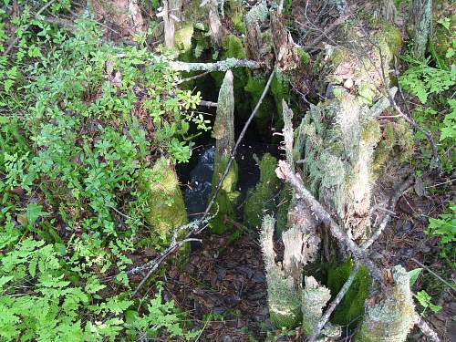 Battlefields in North Karelia( SS-Nord Division)