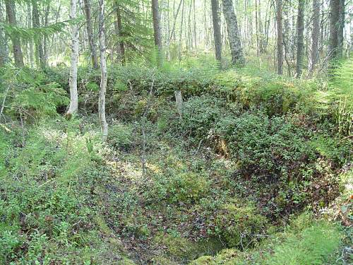 Battlefields in North Karelia( SS-Nord Division)