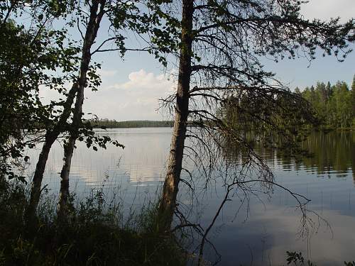 Battlefields in North Karelia( SS-Nord Division)