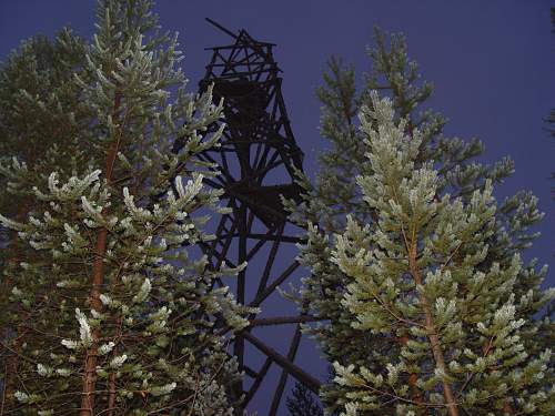 Battlefields in North Karelia( SS-Nord Division)