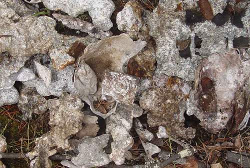 Battlefields in North Karelia( SS-Nord Division)