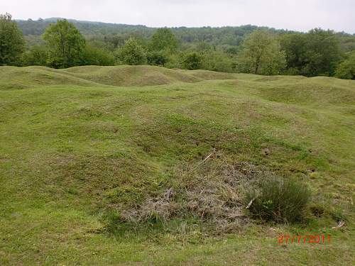 Two days at Verdun.