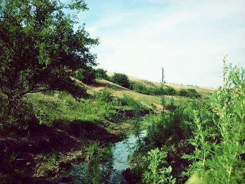 Stalingrad: digging near Gorodis&#1089;he &amp; Gumrak