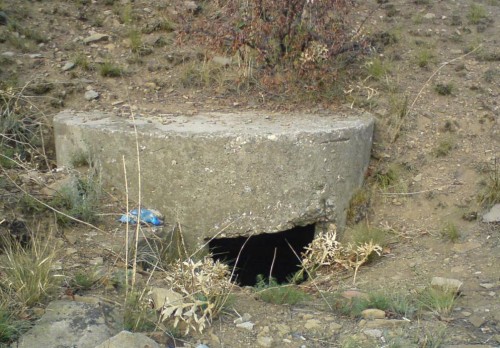 Stalingrad: digging near Gorodis&#1089;he &amp; Gumrak