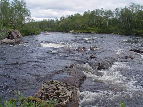 Battlefields in North Karelia( SS-Nord Division)