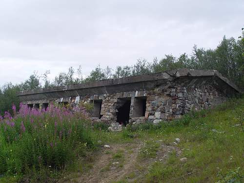 Battlefields in North Karelia( SS-Nord Division)