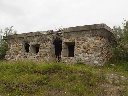 Battlefields in North Karelia( SS-Nord Division)