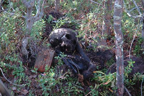 Battlefields in North Karelia( SS-Nord Division)