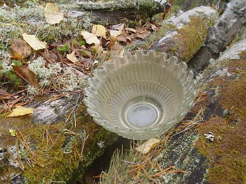 Battlefields in North Karelia( SS-Nord Division)