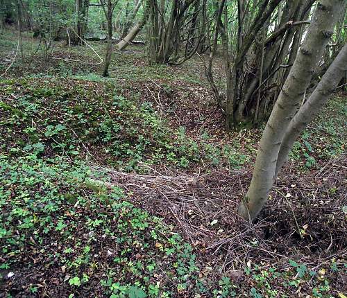 Pre D Day battleground Training Area.