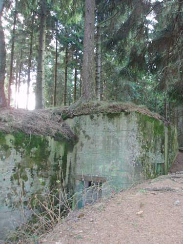 Hurtegen Forest II Blown Bunkers!