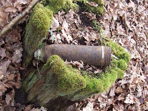 Forest Finds in NE France 2009