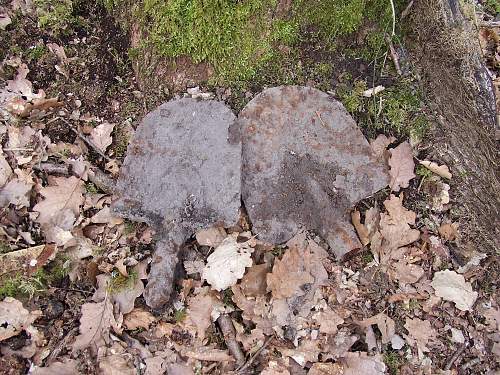 Forest Finds in NE France 2009