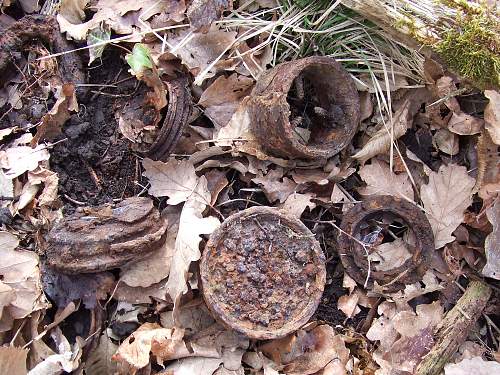 Forest Finds in NE France 2009