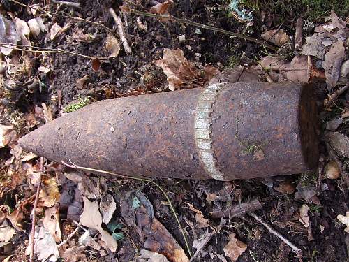 Forest Finds in NE France 2009