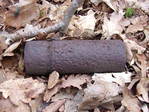 Forest Finds in NE France 2009