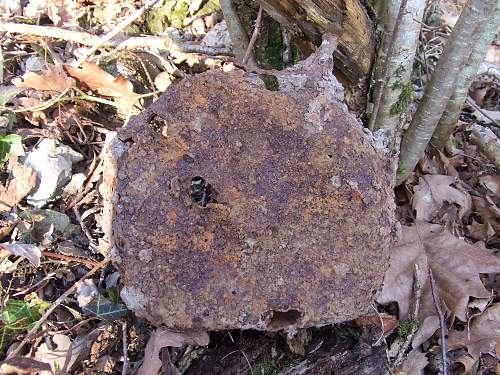 Forest Finds in NE France 2009