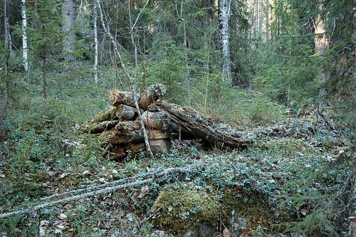 Battlefields in North Karelia( SS-Nord Division)