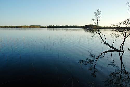 Battlefields in North Karelia( SS-Nord Division)