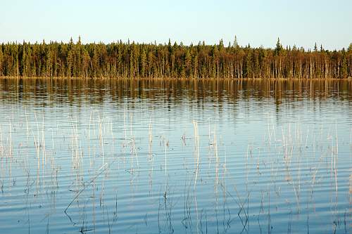 Battlefields in North Karelia( SS-Nord Division)