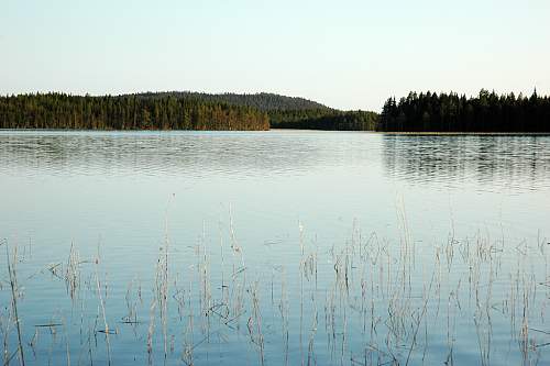 Battlefields in North Karelia( SS-Nord Division)