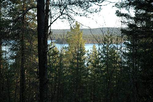 Battlefields in North Karelia( SS-Nord Division)