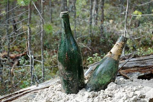 Battlefields in North Karelia( SS-Nord Division)