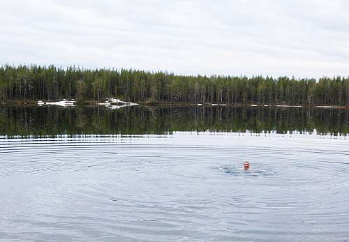 Battlefields in North Karelia( SS-Nord Division)