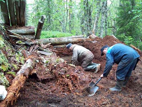 From Russian forests...