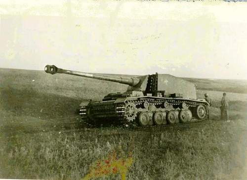 Stalingrad: digging near Gorodis&#1089;he &amp; Gumrak