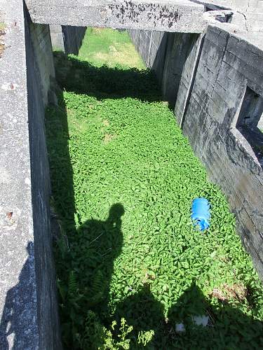 Digging trip to German Coastal Defense Battery