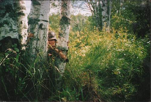 From Russian forests...3