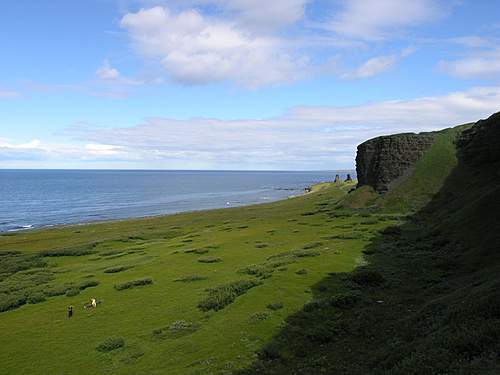 Battlefields in North Karelia( SS-Nord Division)