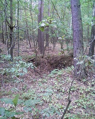 1944-45 battlefield relics.