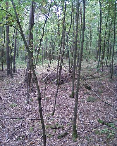 1944-45 battlefield relics.